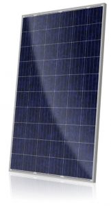 Canadian Solar 60-Cell Standard Panels Perth